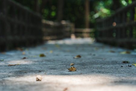 A serene walkway in a lush green environment, featuring scattered leaves and soft sunlight...