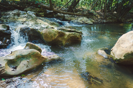 A serene stream flows over rocks, surrounded by lush greenery, in Tak Thailand.の写真素材