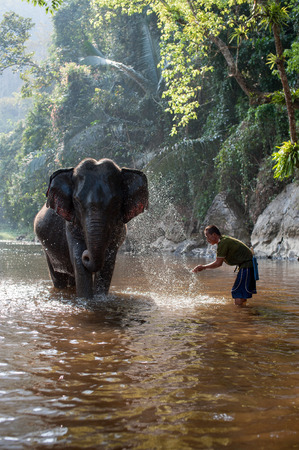 Kanchanaburi, Thailand - February 27, 2011: Unidentified man baths his elephant in the river.のeditorial素材