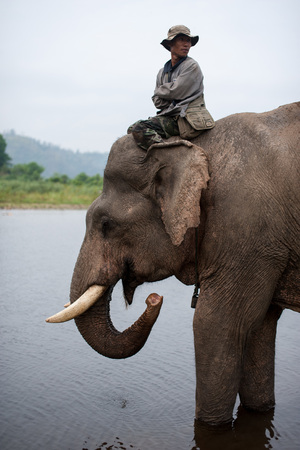 Kanchanaburi, Thailand - February 27, 2011: Unidentified man rides an elephant standing in the river.のeditorial素材