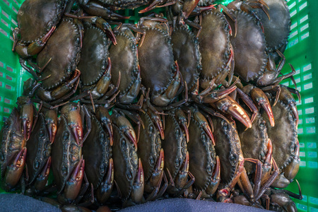 Stack of fresh softshelled crabs in green basket.の写真素材