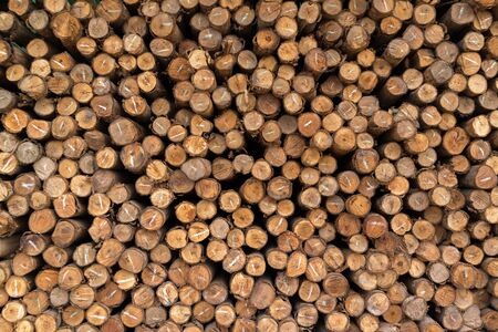 Pattern of stack of rough sawn timber.