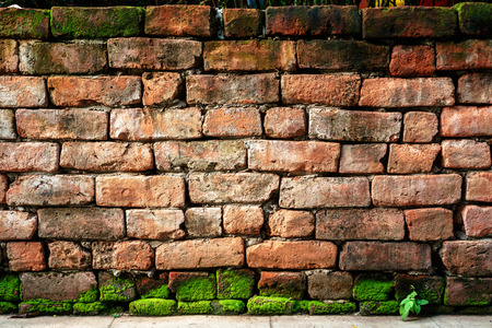 Old orange brick wall with green moss.