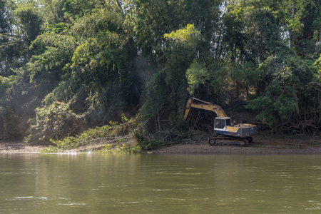 Yellow excavator cutting down green bamboo forest near the riverの写真素材