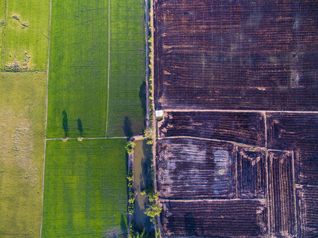 Aerial view of green rice farms and brown uncultivated landの写真素材