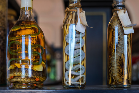 Thai traditional liquor with pickled snakes, cobra, giant centipede and herbの写真素材