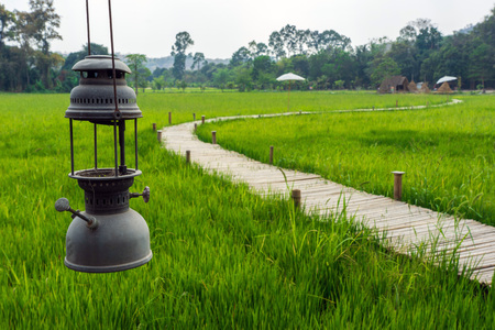 Old lantern hanging with bamboo bridge and green rice field background.の写真素材