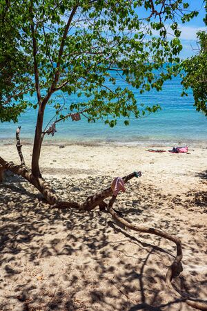 Trees with clothes and life jackets on sand beach with clear turquoise sea in the background.