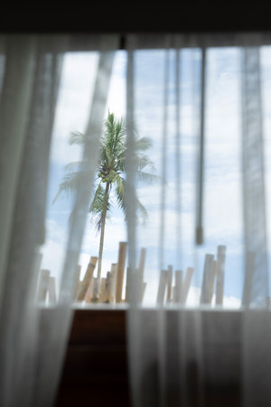 Coconut tree and blue sky in the window view covered with transparent white curtain.の写真素材
