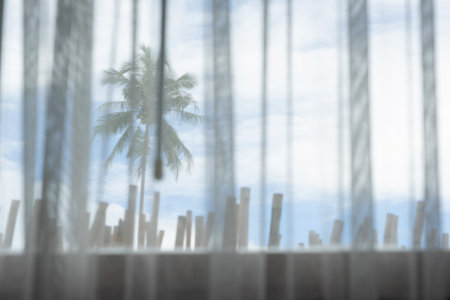 Coconut tree and blue sky behind a window covered with white curtain on Koh Kood island, Thailand.の写真素材