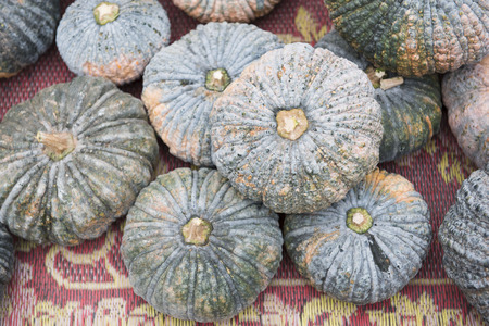 pumpkinの写真素材