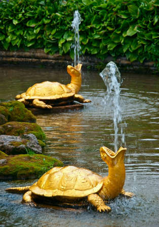 A small fountain of a two turtle in Peterhof, St-peterburg  Russia の写真素材