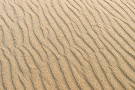Waves of sand inflicted by wind, texture background wallpaperの写真素材