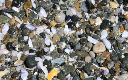 stones and pebbles on the beach in closeup