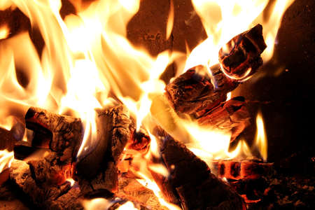 Burning fire close-up