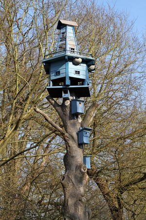 Various nest boxes on tree trunkの写真素材