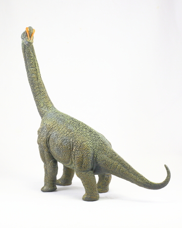 Dinosaurの写真素材