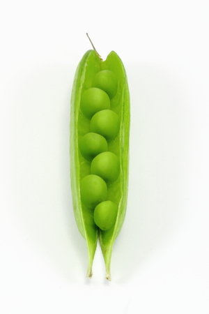 Green Peas on White backgroundの写真素材