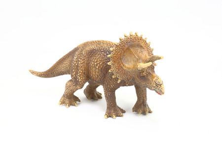 Ceratopsidae Ceratopidae a species of marginocephalian jurassic dinosaursの写真素材