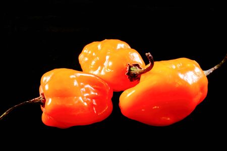 Orange habanero chili pepper  on black backgroundの写真素材