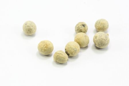 Whole Round White Pepper on white backgroundの写真素材