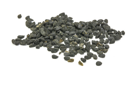 Black Seed Spice exotic taste flavour on white backgroundの写真素材