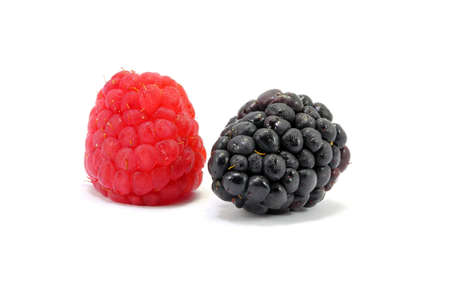 Juicy Ripe Raspberry blackberry fruit on white background