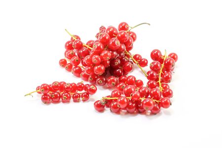 Red Current Berry Fruit bunch small colorful on white background