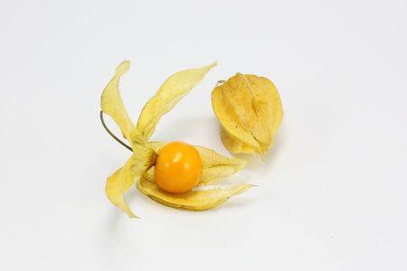 Yellow orange gooseberry golden berry on white backgroundの写真素材