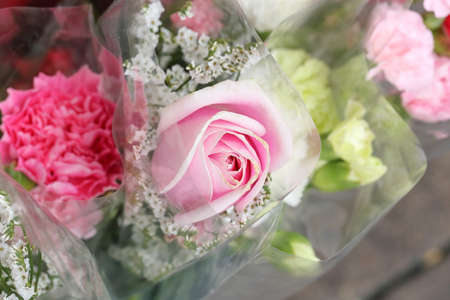 Pink rose bokeh the flower shop  outdoors day lightの写真素材