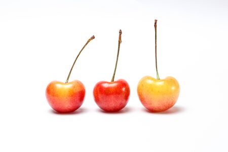 Red yellow Cherry Fruit  ripe juicy fresh on white backgroundの写真素材