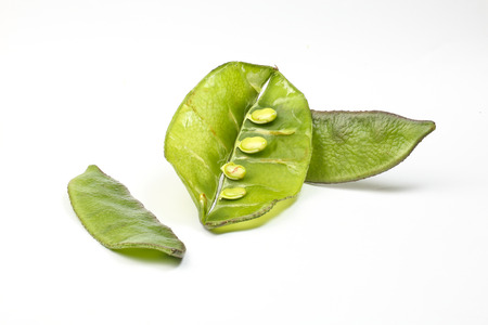 Helda flat romano bean green on white backgroundの写真素材