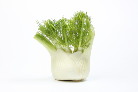 Fennel plant green white root fragrant herb on white backgroundの写真素材