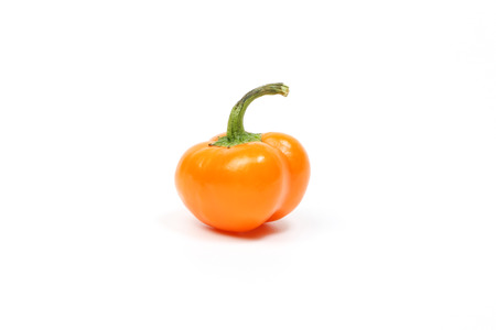 Small bell pepper chili capsicum paprika colorful on white background