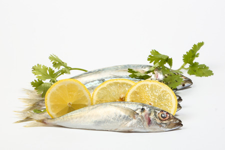 Sardine pilchard herring Fish raw fresh on white backgroundの写真素材