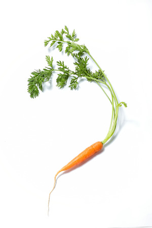 Small baby carrot with green leafs on white backgroundの写真素材