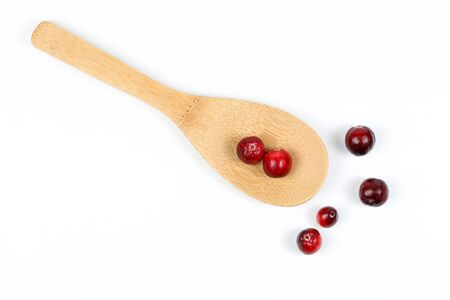 Cranberry red fresh small vaccinium oxycoccos berry Spoon