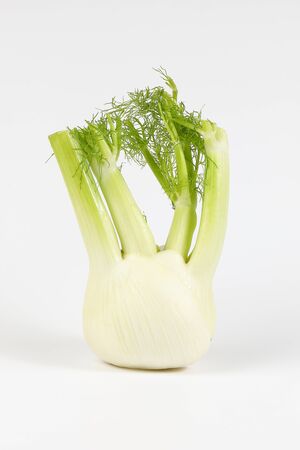 Fennel root leaf herb vegetable  fragrant on white backgroundの写真素材