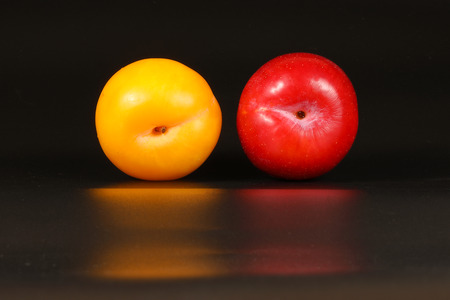 Fresh Ripe Plum Fruit Red  Yellow White Blackの写真素材