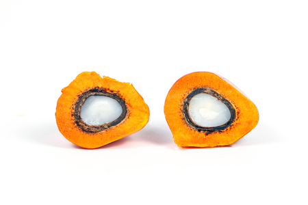Oil Palm Fruit ripe whole products foodの写真素材