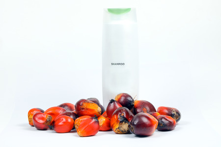 Oil Palm Fruit ripe whole products foodの写真素材