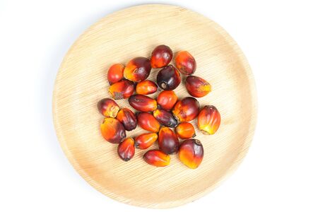 Oil Palm Fruit ripe whole products food