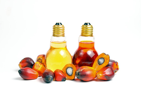 Oil Palm Fruit ripe whole products food bulb bottleの写真素材