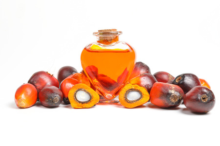 Oil Palm Fruit ripe whole products food bulb bottleの写真素材