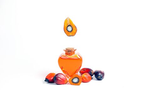 Oil Palm Fruit ripe whole products food bulb bottleの写真素材