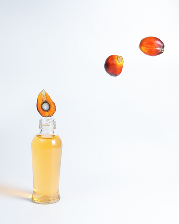 Oil Palm Fruit ripe whole products food bulb bottleの写真素材