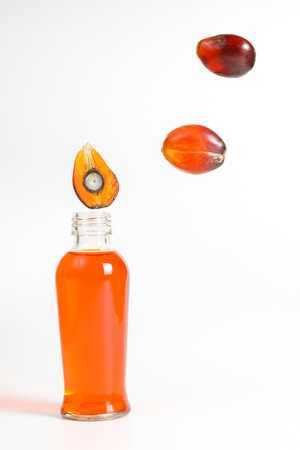 Oil Palm Fruit ripe whole products food bulb bottleの写真素材