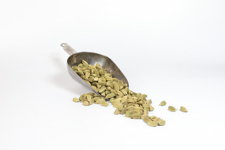 Cardamom  spice in metal scup ice shovel on white background の写真素材