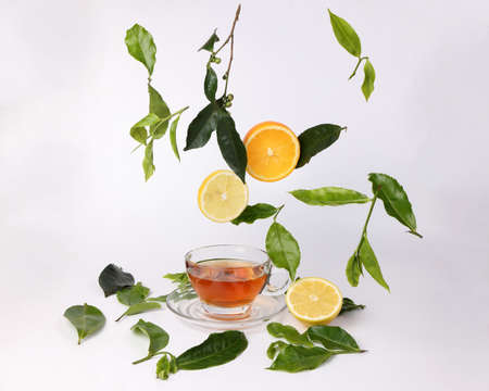different types of fresh raw green tea leaf flower bud dropping floating elevated lemon orange slice over transparent glass teacup saucer liquid tea on white backgroundの写真素材
