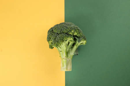whole green broccoli closeup on yellow green backgroundの写真素材